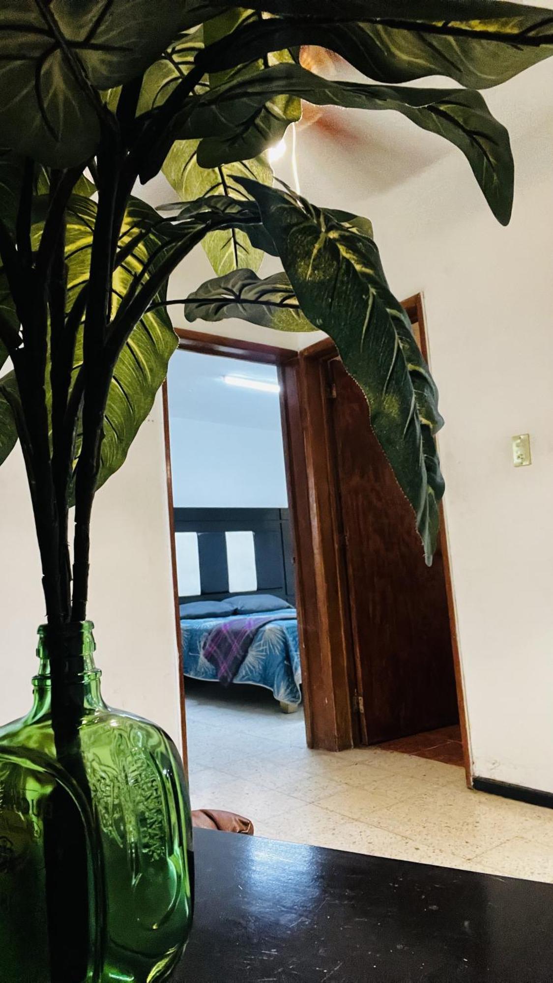 Вилла Casa Dahlia Керетаро Экстерьер фото